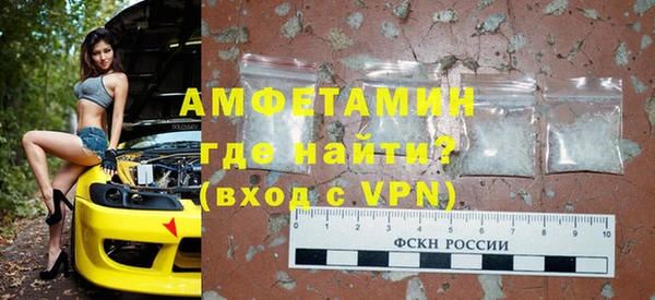 шишки Болотное